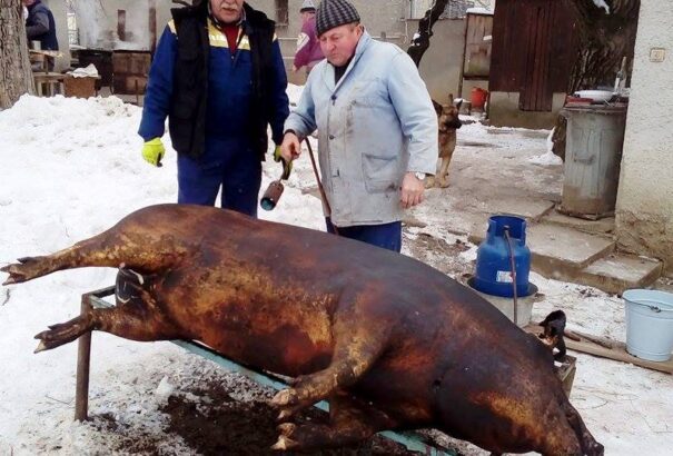 Egy valódi (nemcsak) gömöri disznótor