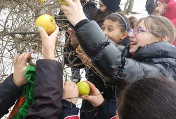 Tanulmányi kirándulás és téli etetés a természetben