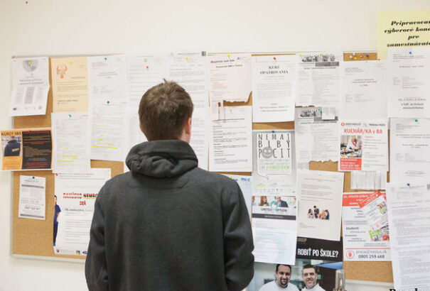 Milyen szakra érdemes jelentkezni alapiskola után? Íme, a legkeresettebb szakirányok