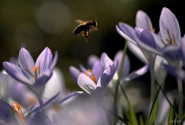Csütörtökön marad a napos idő, de feltámad a szél