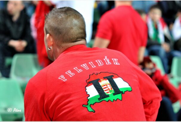 Karaffa Attila: A gyökér tartós, nem fogja az asszimiláció fejszéje