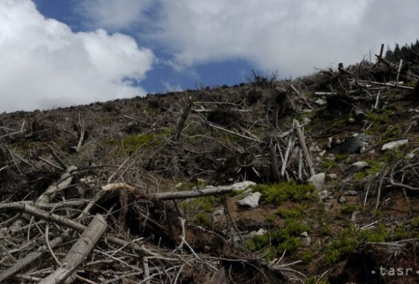 Tarolt a pénteki vihar a Tátrában
