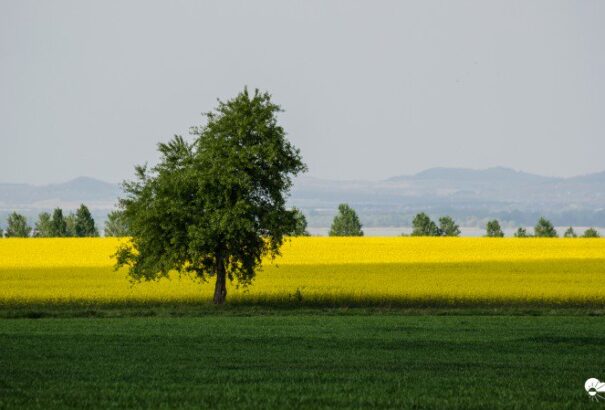 Szeles, csapadékos idő várható csütörtökön