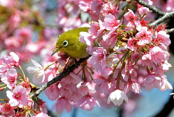 Szikrázó napsütés és meleg idő várható