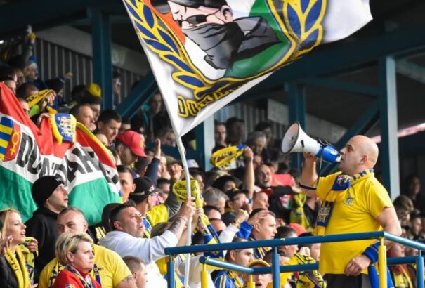 Bögi Róbert: Halott virágok illatát nyögik a fák…