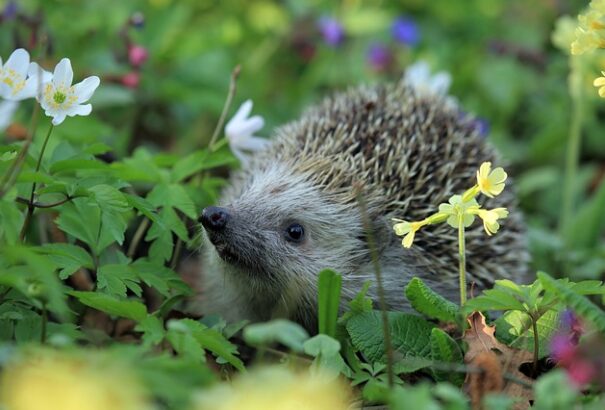 Szeles és felhős időnk lesz, némi esővel
