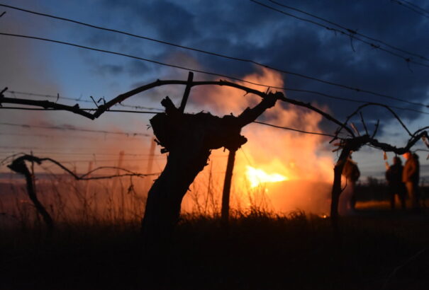 A gazdák tovább küzdenek az alacsony hőmérséklettel