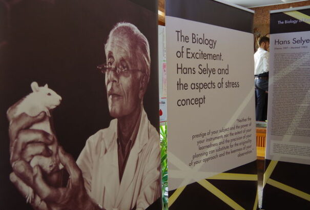 Selye János életművét bemutató kiállítás nyílt Pozsonyban
