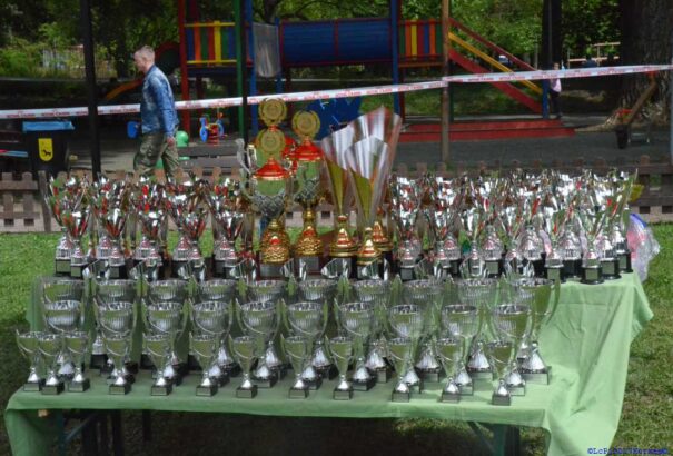 Nemzeti és nemzetközi kutyakiállítás volt Losoncon – Képek