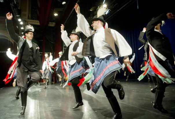 Páváskodjunk! – Május 10. -ig lehet jelentkezni a Felszállott a páva tehetségkutató versenyre