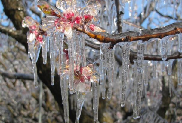 Erős lehűlés jön, még fagy is lesz