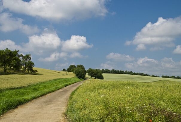 Közepesen felhős, nyárias időnk lesz pénteken