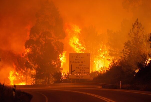 Pokoli erdőtűzben haltak meg emberek Portugáliában