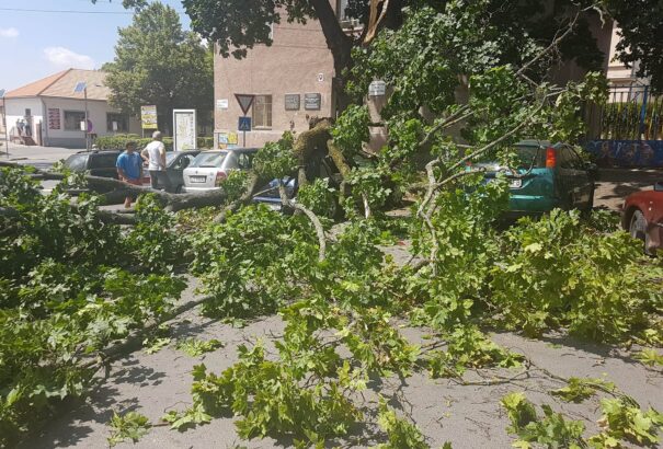 Lecsapott a szélvihar Ipolyságra – Olvasói felvételek