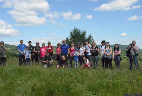 Medvesaljai barangolás Vecseklőtől Egyházasbástig