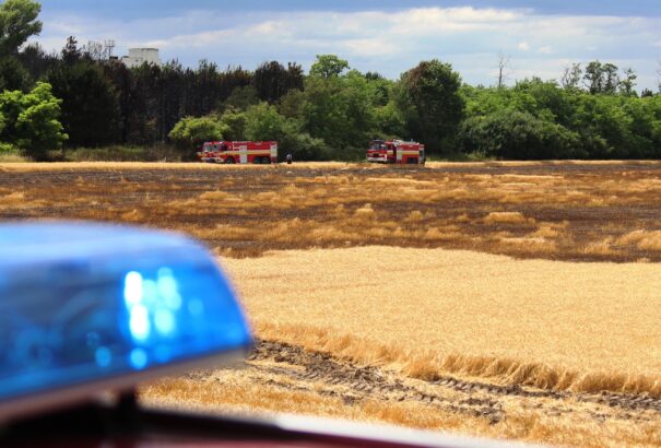 Óriási tűz pusztított Keszegfalva határában (Képek + Videó)