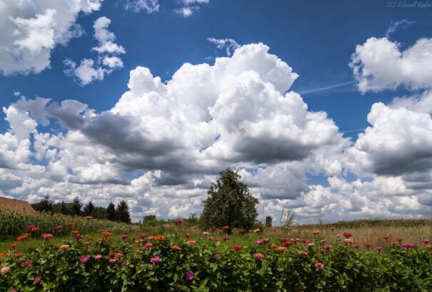 Napos-gomolyfelhős idő várható egy-egy záporral