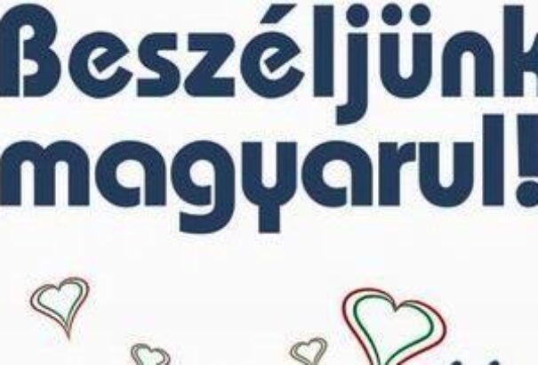 Vinnék a magyar szavazatokat. Nem, nem a Most-Híd. Nekik már végük