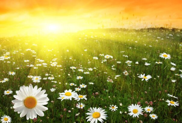 Csütörtökön visszatér a jó idő