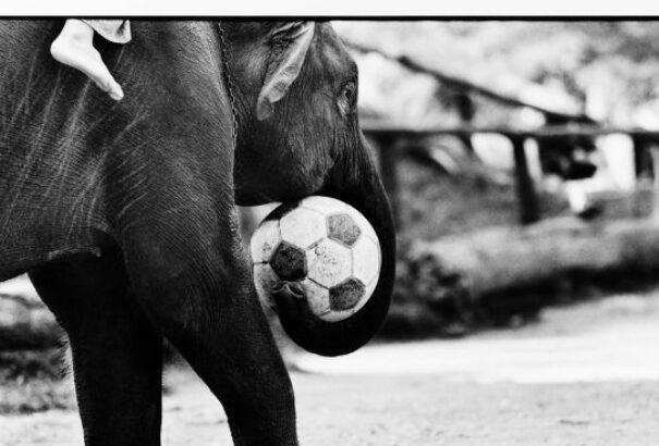 A kézilabda mintájára láblabdát terveznek csinálni a fociból