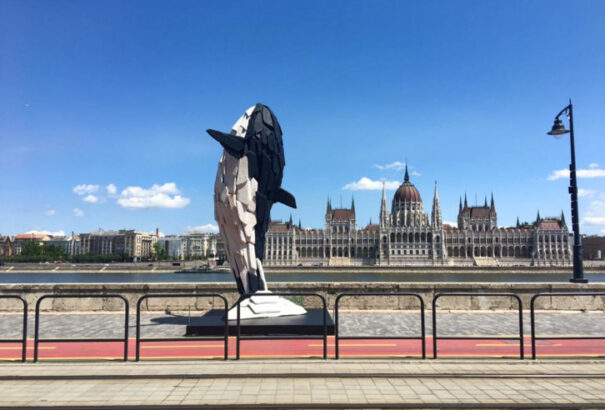 Vizes vb: Újra vízbe szállnak a női vízipólósok. Íme a keddi program