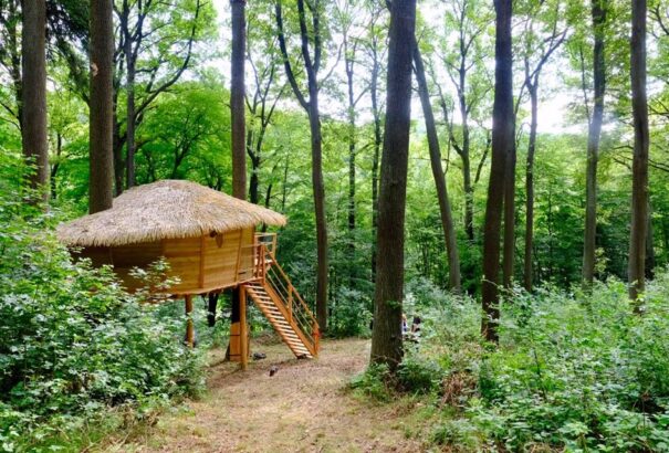 Éjszaka a fák lombjai között – újabb csodaházikót nyitottak Pozsonyban (képek)