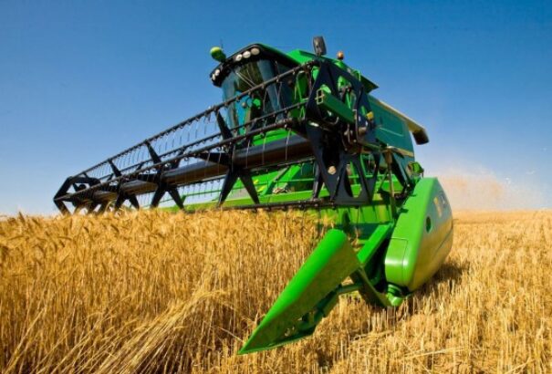 Gyenge a gabonafélék terméshozama az idén Szlovákiában