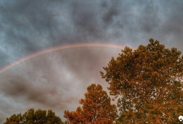 Esőre, zivatarokra elsősorban nyugaton számíthatunk