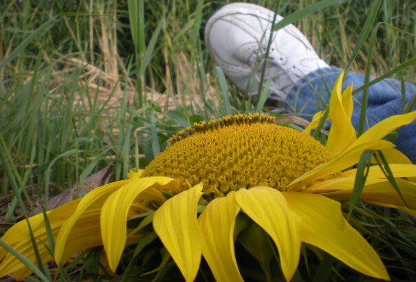 Változatok 13 – Néha még