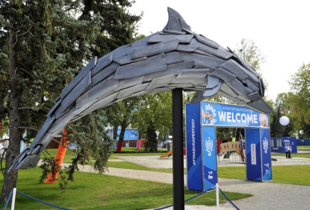 Vizes vb: Éremért úszik Olasz Anna, kezdődik a vízilabdatorna. Íme a vasárnapi program