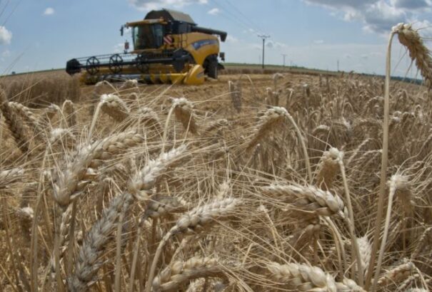 Lassan nem lesz, aki arasson. A gazdák száma történelmi minimumra csökkent