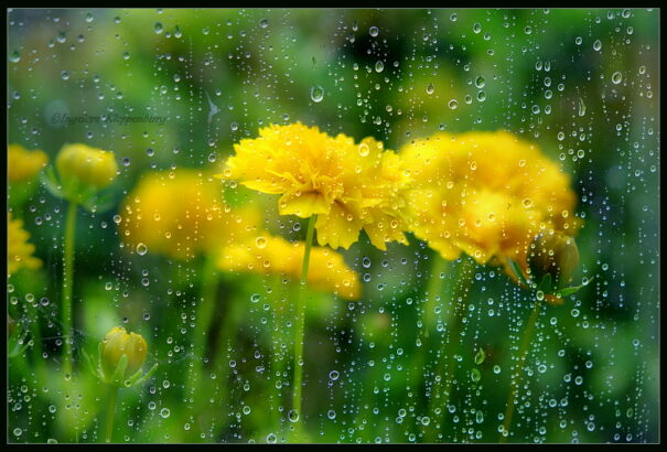 A hőségre és a fülledtségre a záporok hoznak enyhülést