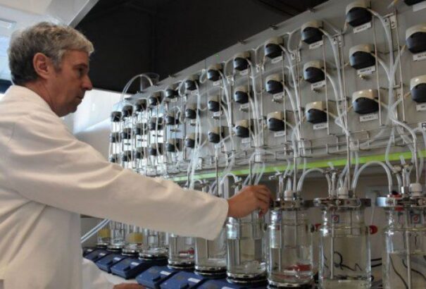 SaS: Az egyetemek egy centet sem kaptak az unió kutatási támogatásából