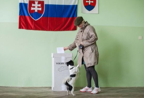 Több mint 10 millió euróba kerülnek a megyei választások