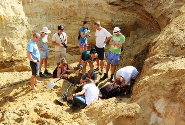 Kisújfalu homokbányája az őslénykutatók aranybányája
