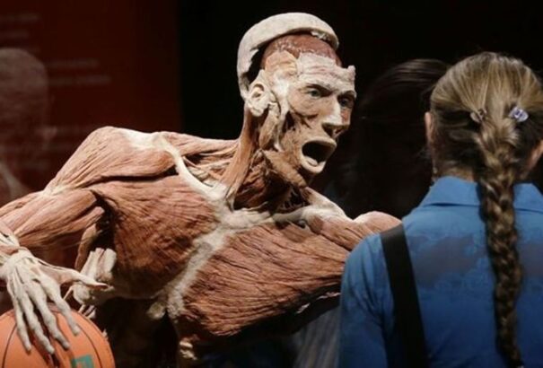 A KDH az emberi testet bemutató kiállítás megszüntetését kéri