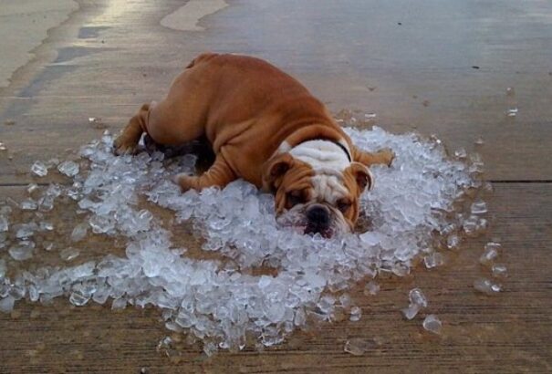 Brutális hőséggel robban be az augusztus