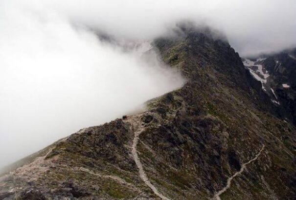 Száraz Dénes: Eggyé váltam a környezetemmel