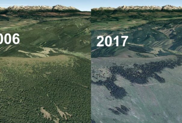 A természetvédők az Alacsony-Tátra Nemzeti Park megszüntetését kérik