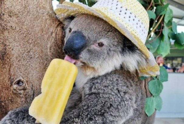 Napos, igazi nyári idő lesz kedden