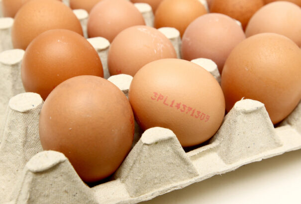 A baromfitenyésztők szerint Szlovákia nem szorul tojás importálására