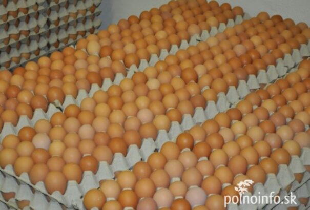 Újabb botrány a láthatáron: vigyázzunk a tojás és a baromfi vásárlásakor