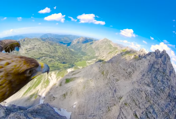 Fantasztikus videó hódít a neten