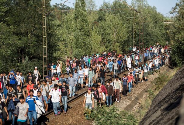 Közép-Európa támogatja Magyarország bevándorlási politikáját