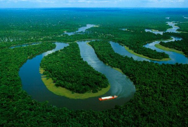 Két év alatt közel 400 állat- és növényfajt fedeztek fel Amazóniában