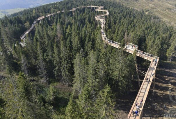 Különleges turistaút épült Szlovákiában: 24 méter magasan, a fakoronák között barangolhatunk (képek)