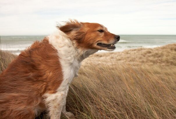 Változékony, szeles idővel búcsúzik a hét