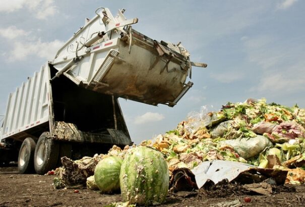 A Tesco megmutatta, mennyi élelmiszert hajít a kukába egy évben