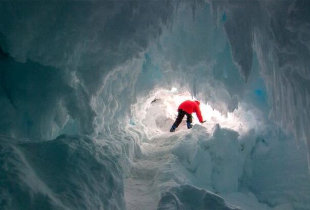 Ismeretlen DNS-sel rendelkező fajok rejtőznek az antarktiszi jégtakaró alatt