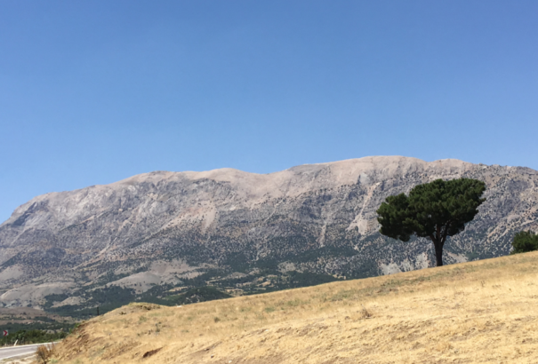 Vakáció a Kaukázusban (XVI) – Epilógus gyanánt